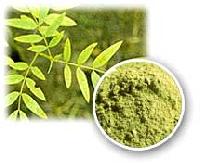 Senna Leaves